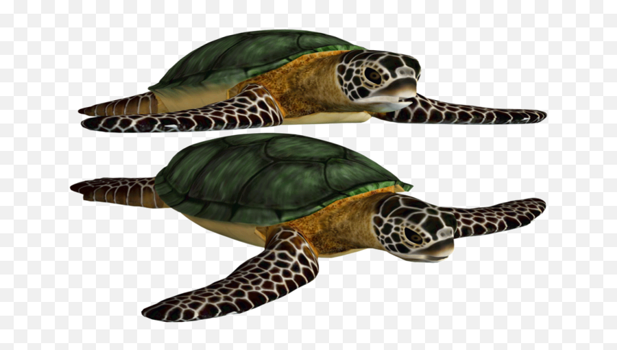 Green Turtle Cliparts - Turtle Png Image And Clipart Sea Animals Images Png Emoji,Sea Turtle Clipart