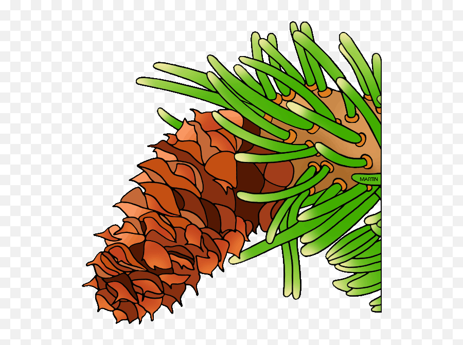 Trees Clip Art By Phillip Martin Bristlecone Pine Cone - Bristlecone Pine Emoji,Pine Cone Clipart