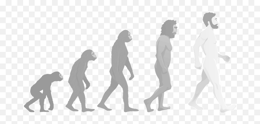 Walking Upright Seminar Paper - Human Evolution Png White Emoji,Evolution Png
