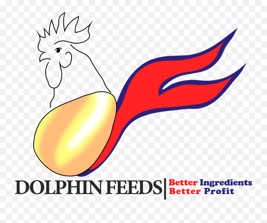 Dolphin Feeds - Dolphin Group Comb Emoji,Dolphin New Logo