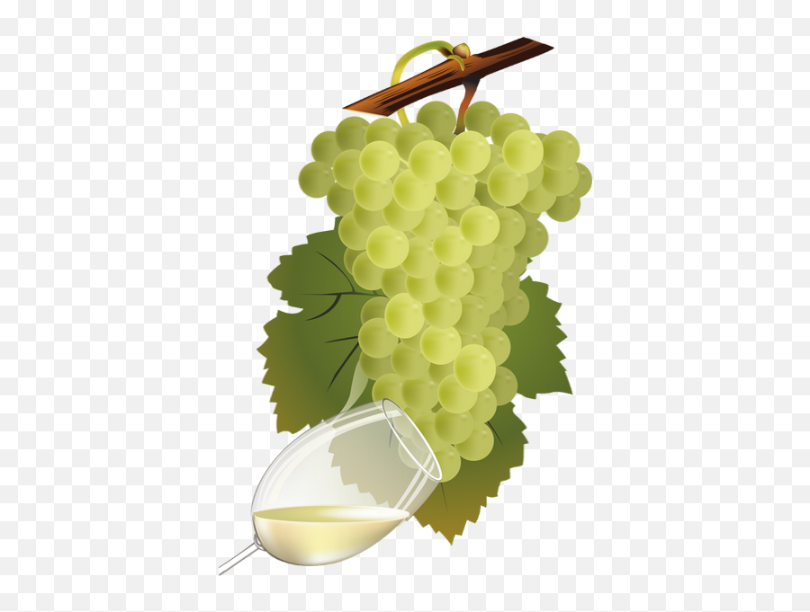 Vin Blanc Et Raisin Png - White Wine And Grapes Clipart Emoji,Raisin Clipart