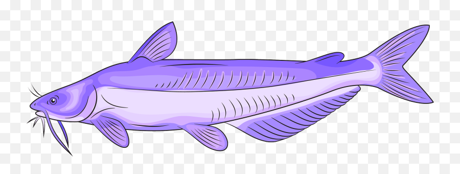 Blue Catfish Clipart - Catfish Emoji,Catfish Clipart