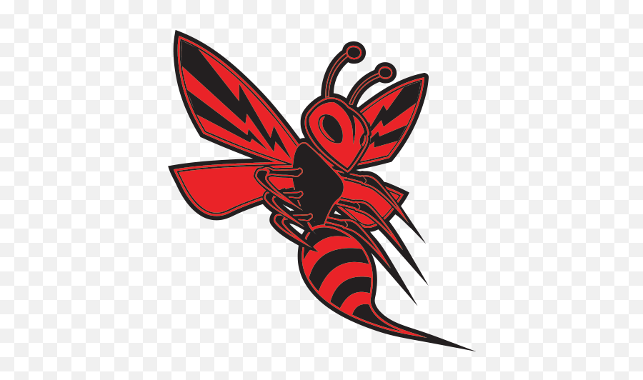 Red Hornet Wasp Vespa - Insect Killer Bee Drawing Emoji,Wasp Logo