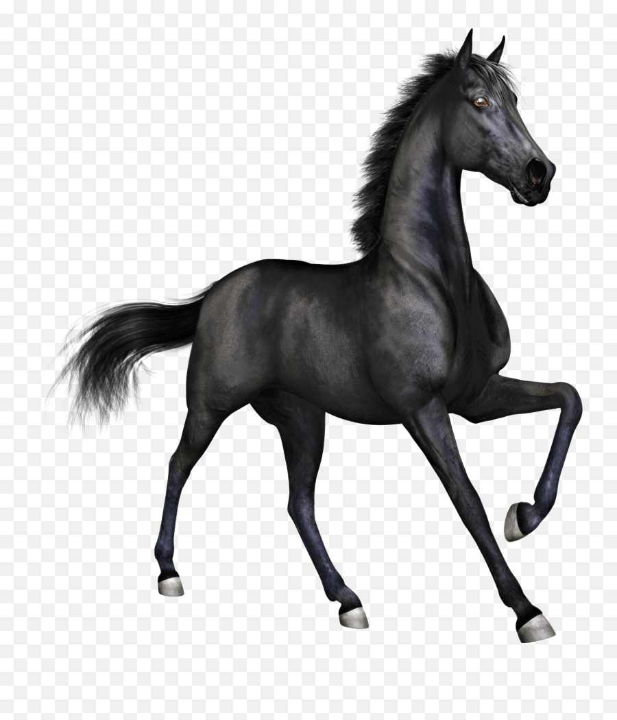 Free Thoroughbred Horse Clipart - Transparent Horse Jpg Emoji,Horse Clipart