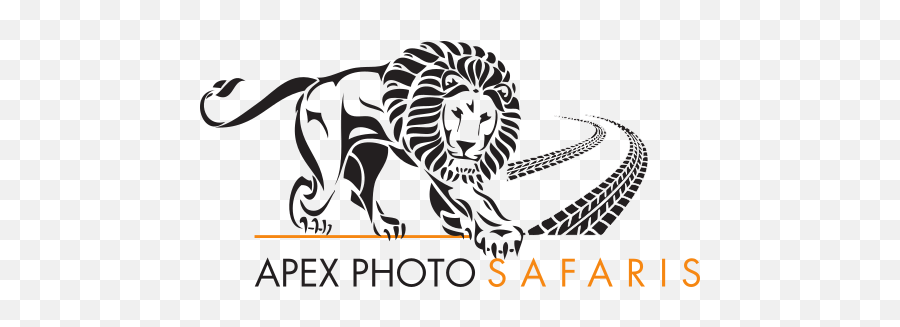 Apex Photo Safaris - Specialized Photographic Safaris Around Emoji,Cute Safari Logo