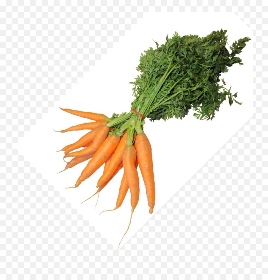 Carrots U2014 De Stadsgroenteboer Emoji,Carrot Transparent