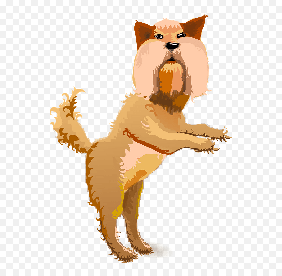 Yorkshire Terrier Clipart Free Download Transparent Png Emoji,Terrier Clipart