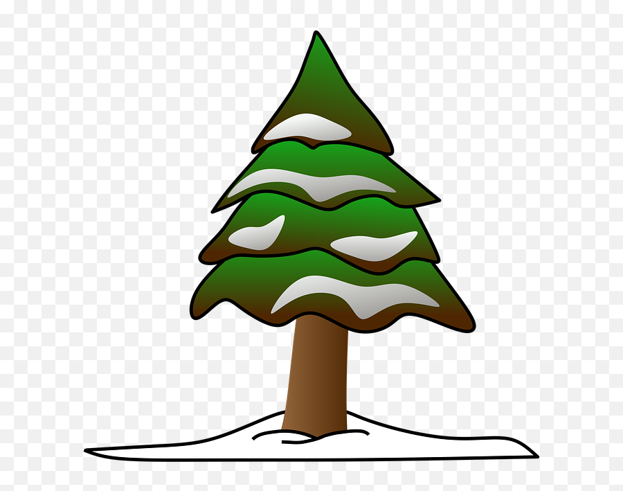 Free Photo Tree Snow Ice Pine Tree Evergreen Frost Conifer Emoji,Evergreen Tree Clipart