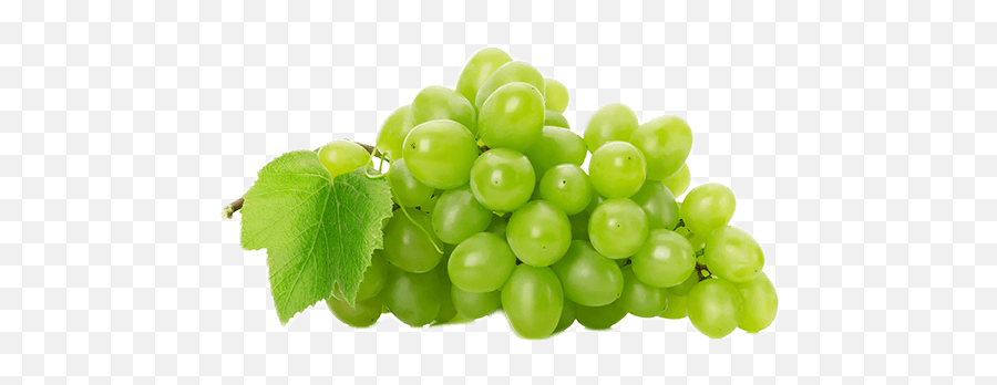 Grape White Transparent Png Emoji,Grapes Png