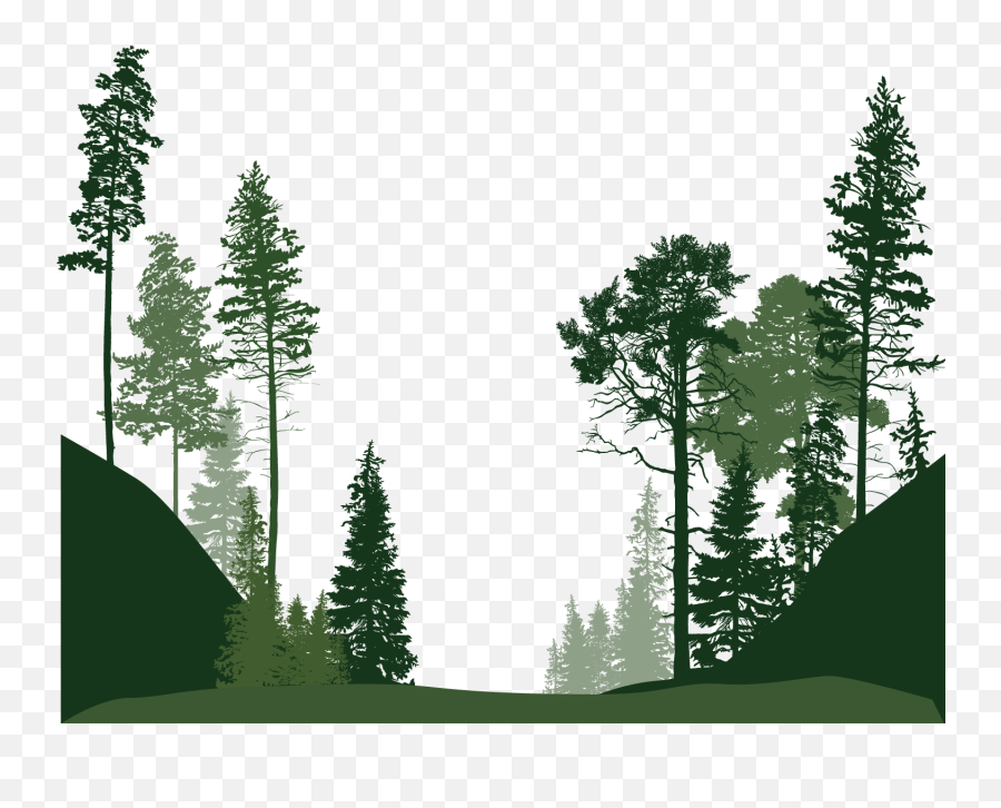 Forest Clipart Transparent Forest - Silhouette Forest Trees Png Emoji,Forest Clipart