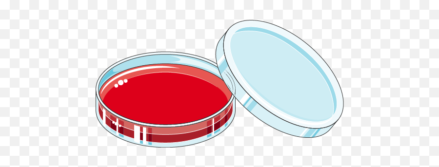 Petri Dish - Petri Dish Clipart Emoji,Petri Dish Clipart