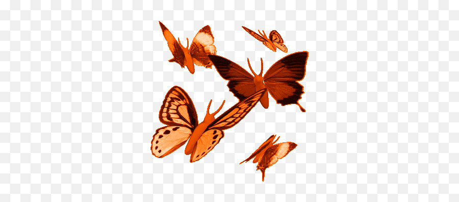 Volodifarfalle Butterfly Gif Butterfly Images Image Glitter Emoji,Butterfly Gif Transparent
