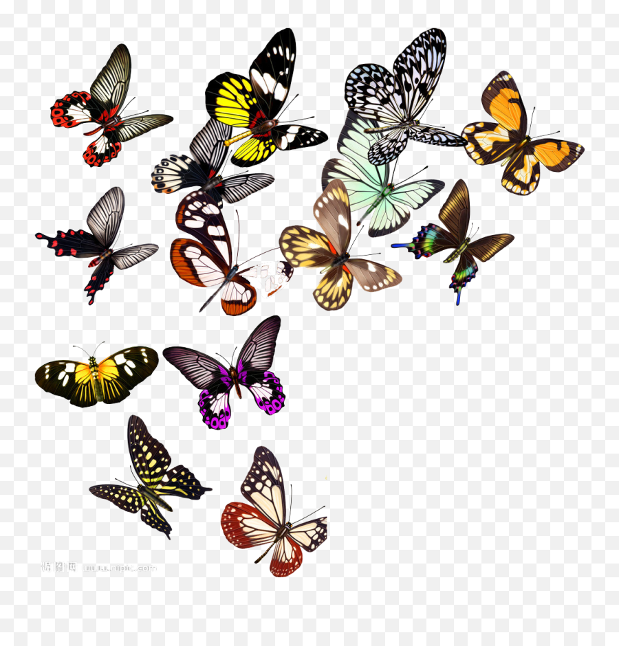 Butterfly Nymphalidae Clip Art - Butterfly Fly Png Download Emoji,Butterfly Flying Png