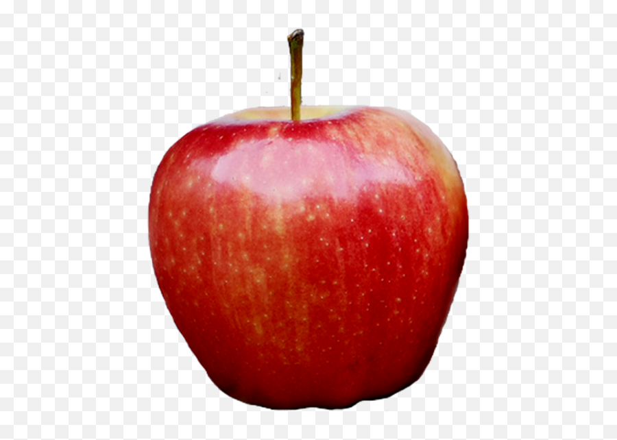 Red Red Apple Png Images Download - Yourpngcom Emoji,Red Apple Png