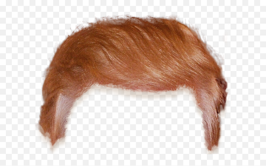 Download Fur Like Icons Dog Hair - Hair Png Emoji,Trump Hair Png
