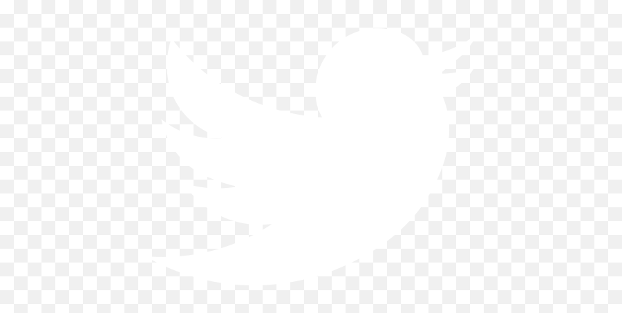 Anupam Chander The Great Firewall Of America The Tiktok - Black Twitter Logo Background Emoji,Tiktok Icon Png