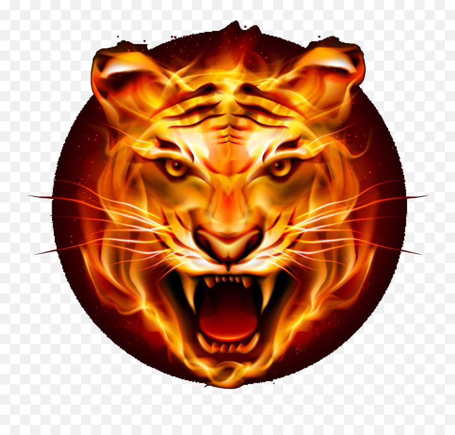 Download Hd Tiger Png Logo - Flame Tiger Transparent Png Emoji,Tiger Transparent Background