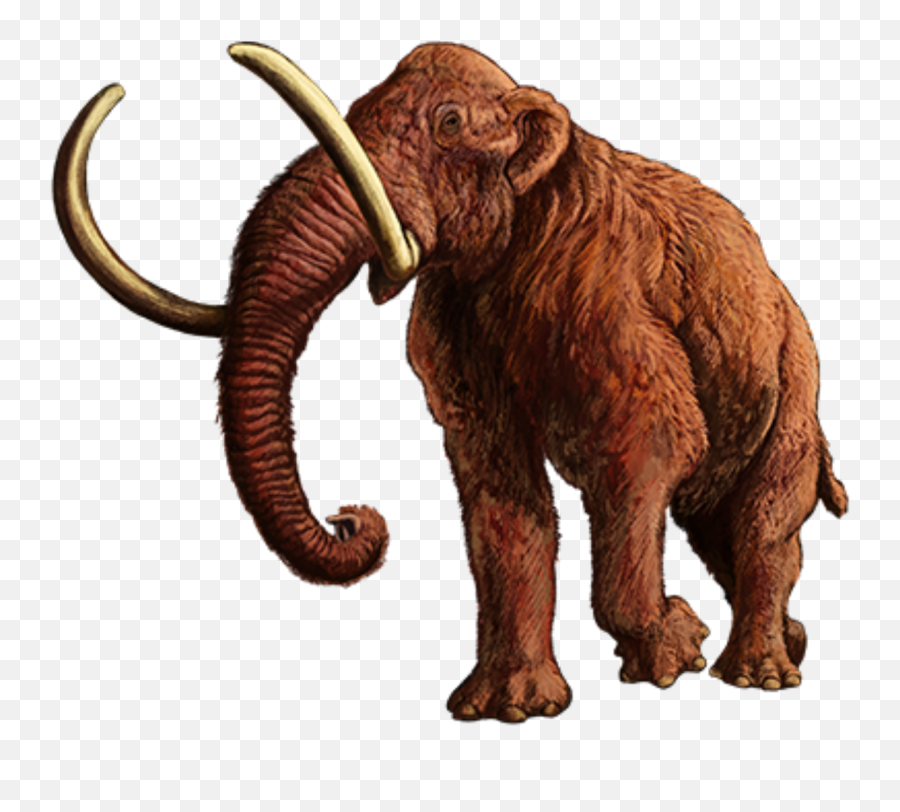 202003 Woolly Mammoth - Woolly Mammoth Transparet Background Emoji,Mammoth Png