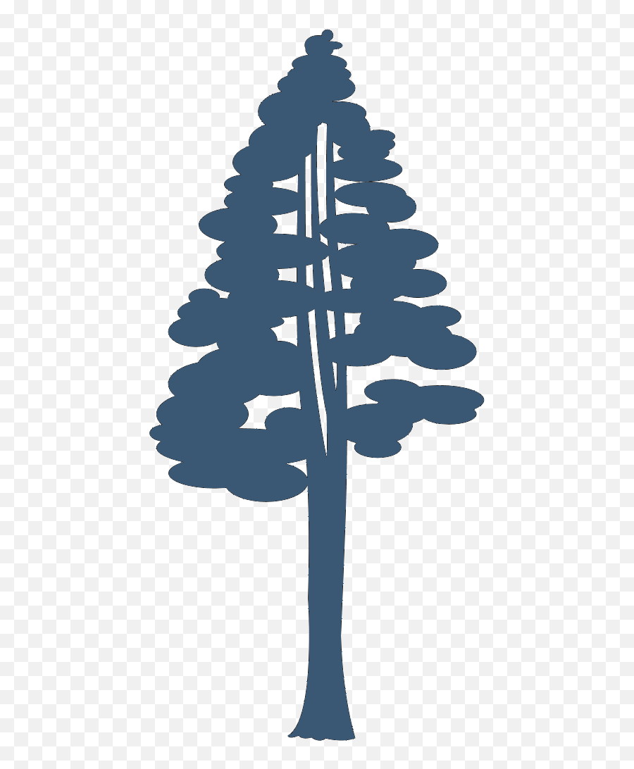 Coast Redwood Giant Sequoia Drawing Emoji,Redwood Tree Clipart