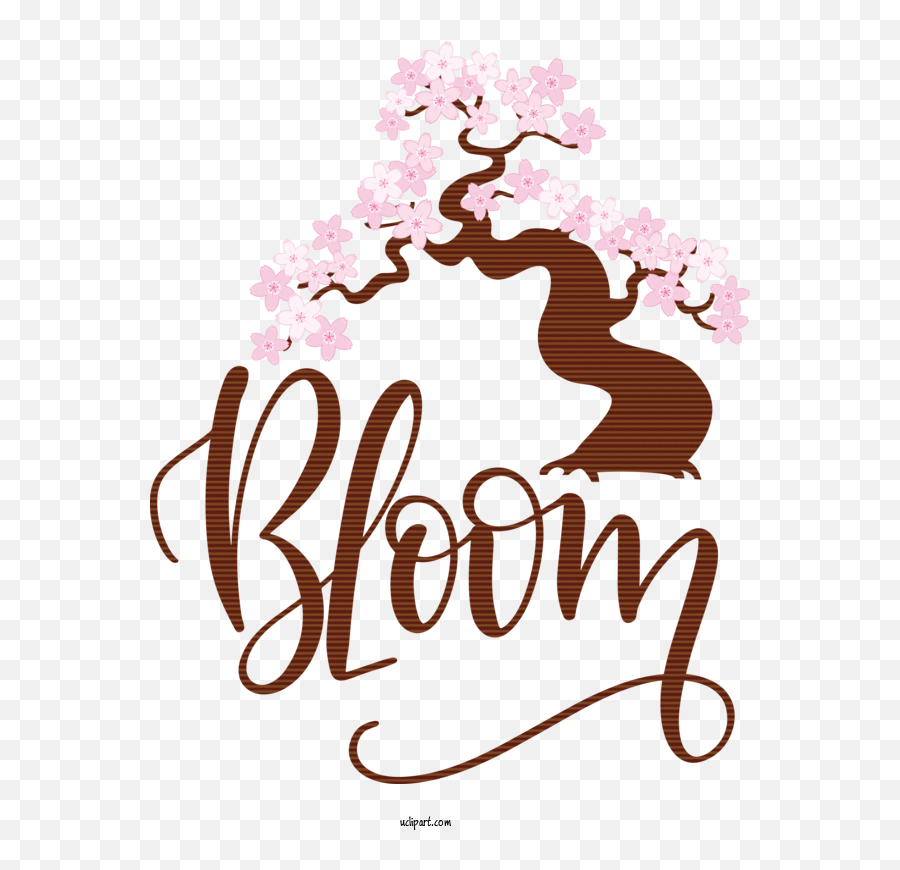 Flowers Icon Social Media Logo For Flower Clipart - Flower Emoji,Social Media Transparent Background
