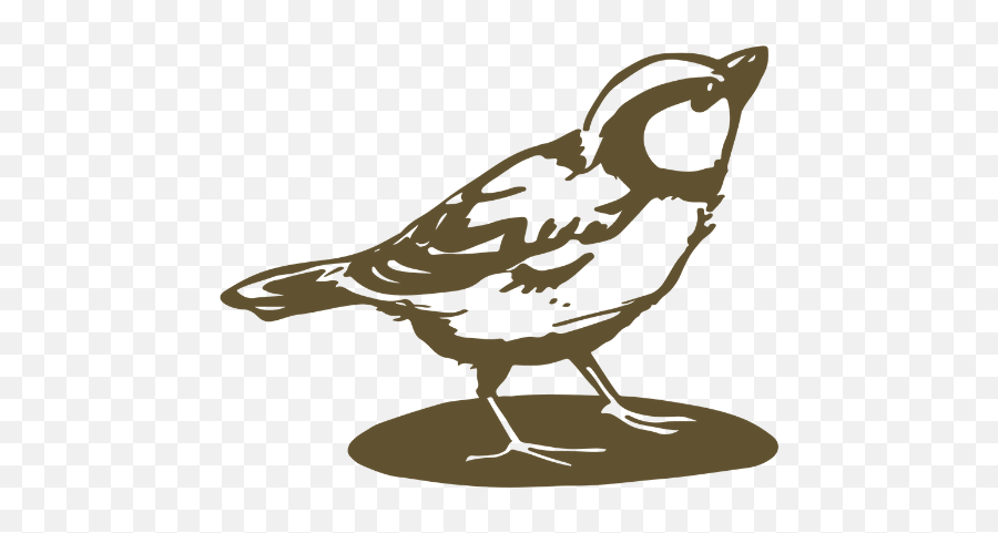 How Simple Sparrow Got Itu0027s Nameu2026 Emoji,Sparrow Clipart