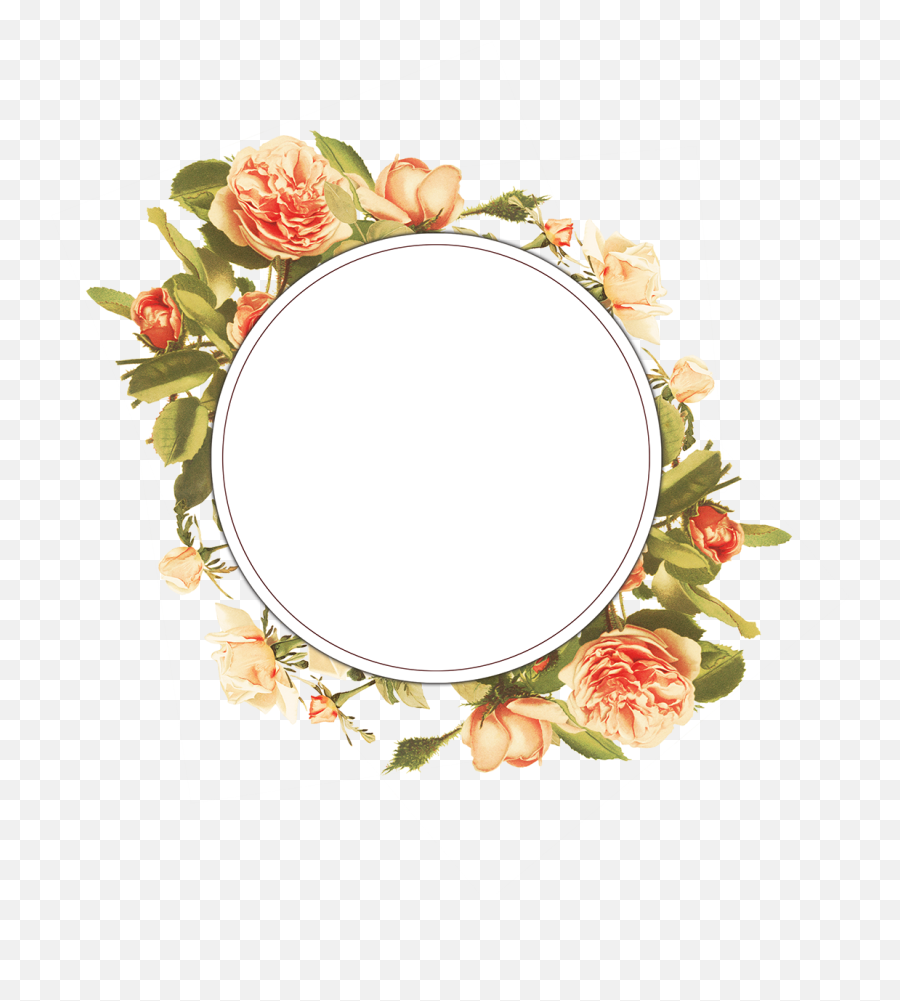 Vintage Floral Frame Collection Free To Download - Vintage Frame Vintage Floral Png Emoji,Vintage Png