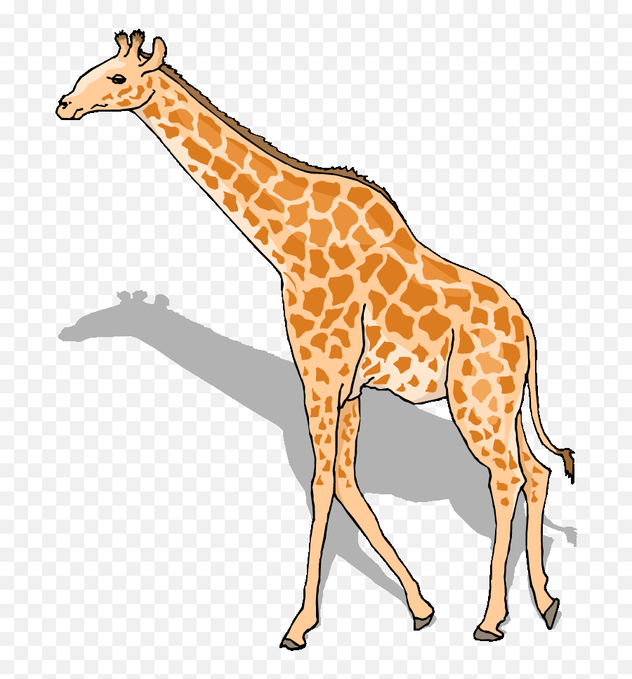 Tall Giraffes Clipart - Giraffe Clipart Emoji,Tall Clipart