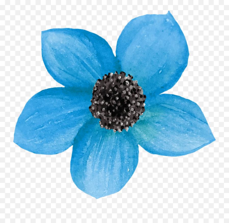 May 2020 - Mckinley Design Co Watercolor Flowers Blue Poppy Anemone Emoji,Watercolor Flower Clipart