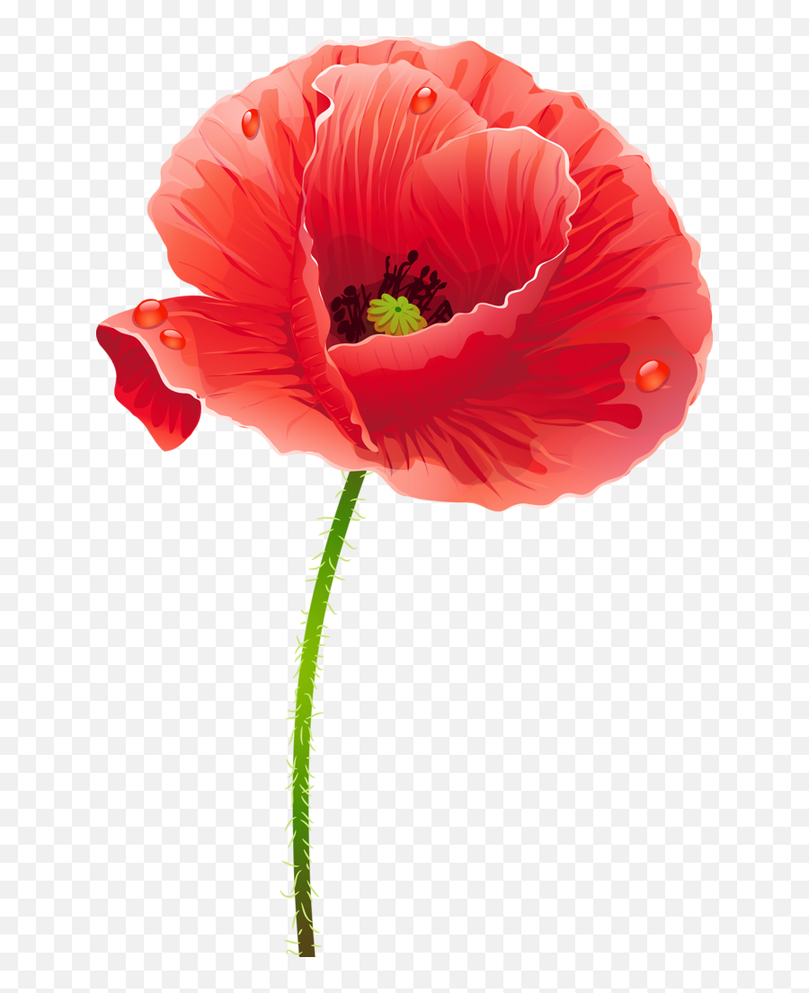 Tubes Fleurs - Cafepress Artistic Red Poppies Samsung Galaxy Emoji,Poppy Png