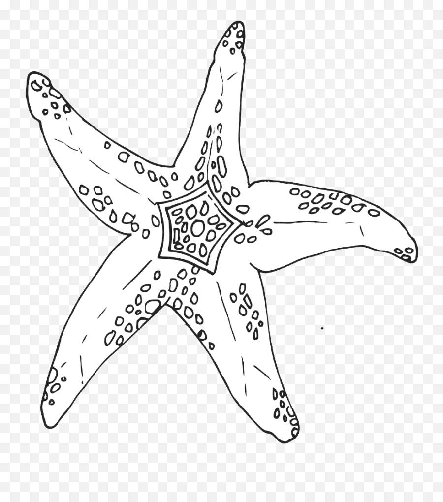 Free Shell Clipart Clip Art Homeschool Science Clipart - Starfish Emoji,Shell Clipart