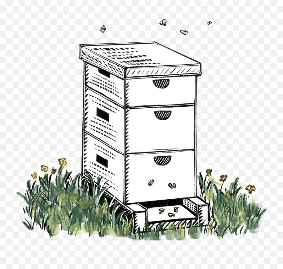 Clipart - Hive Color U2013 Eclectic Bee Farm Emoji,Farm Clipart Black And White