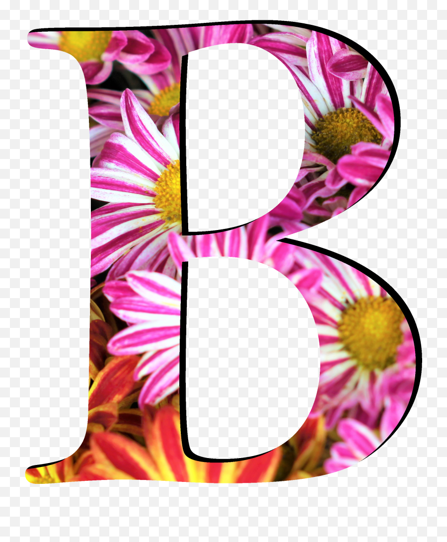 Flower Pattern Letters B - Flower Pattern Letters B Emoji,Letter B Png