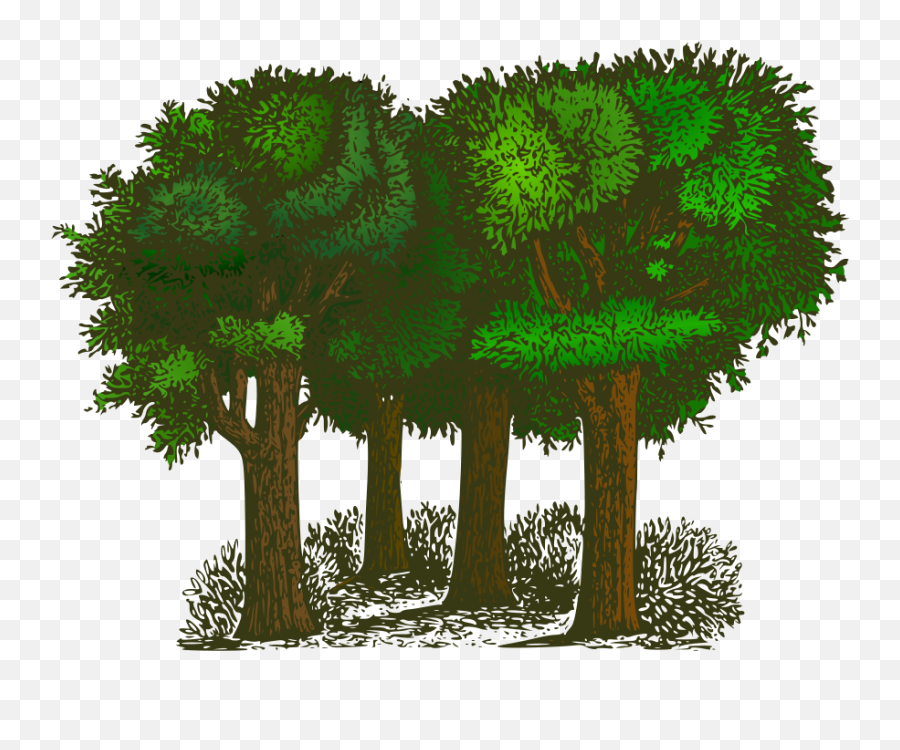 Free Forest Clipart Png Download Free - Trees Clipart Emoji,Forest Clipart