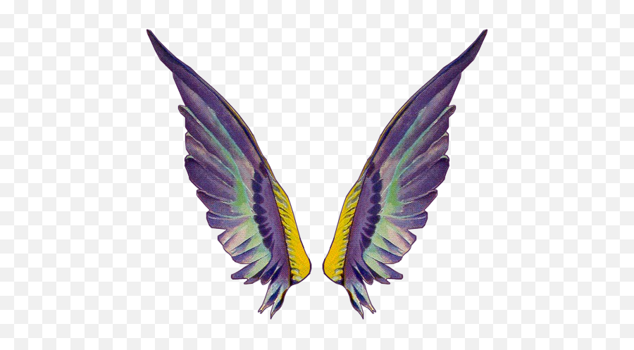 Download Tinkerbell Wings Png Gallery For U003e Fairy Wings Png - Png Tinkerbell Fairy Wings Emoji,Fairy Wings Clipart