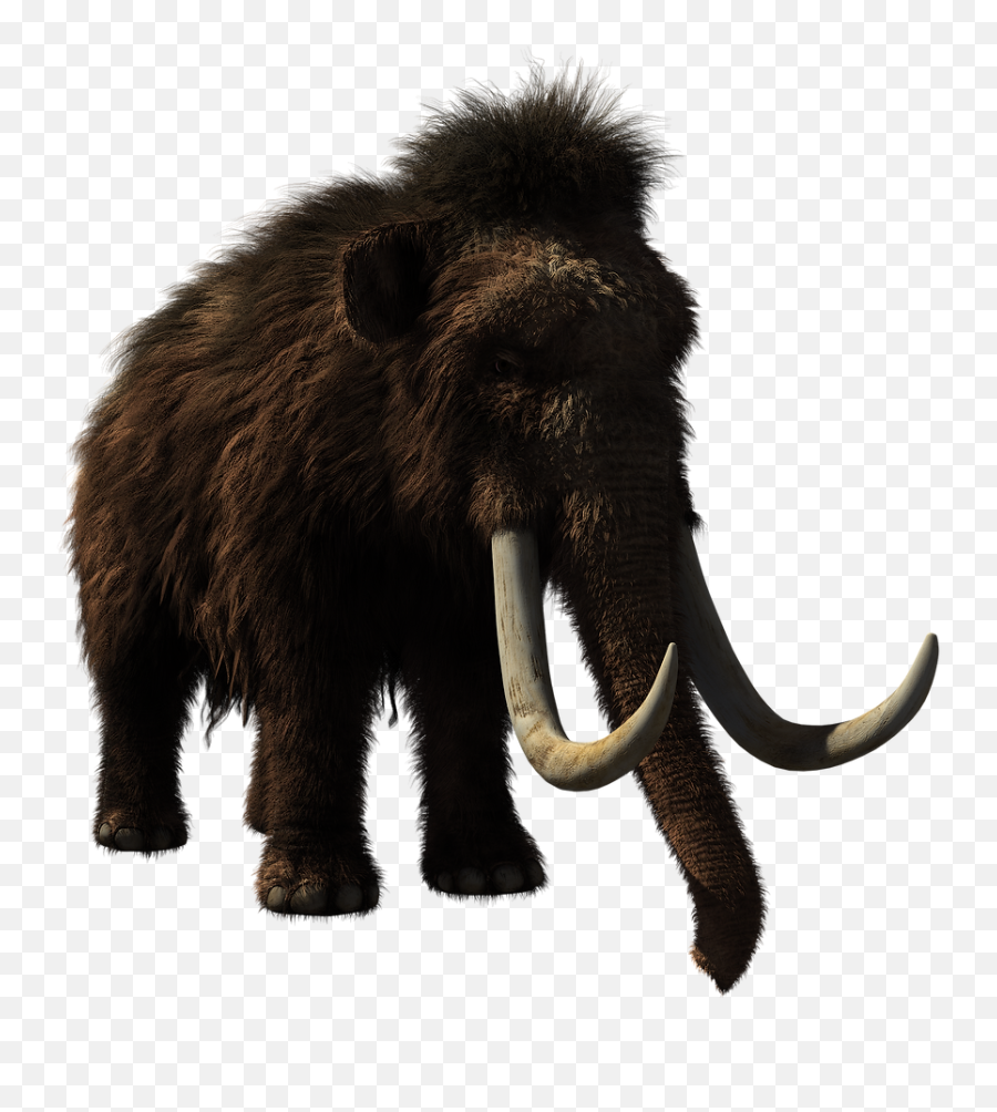 Woolly Mammoth Animal Prehistoric - Woolly Mammoth Emoji,Mammoth Png