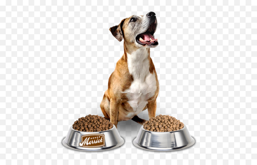 Dog Food Png - Best Food For Dog Emoji,Eating Png