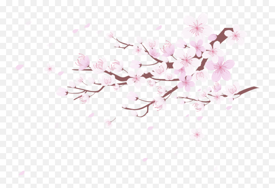 Cherry Blossom Tree Flower Wall Decal Emoji,Cherry Blossom Flower Png