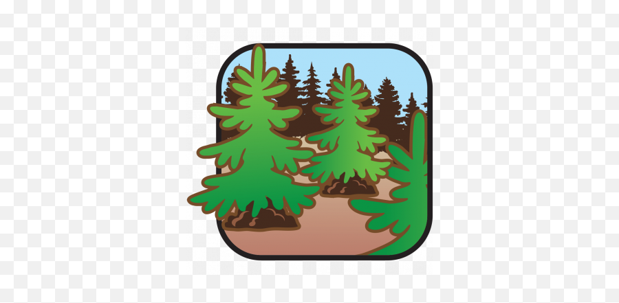 Search Results For U0027evergreenu0027 - Chief River Nursery Emoji,Evergreen Tree Clipart