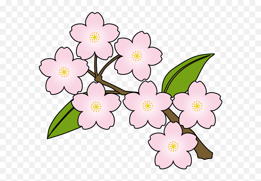 Cherry Blossoms Clipart - Cherry Blossom Clipart Full Size Emoji,Sakura Petal Png