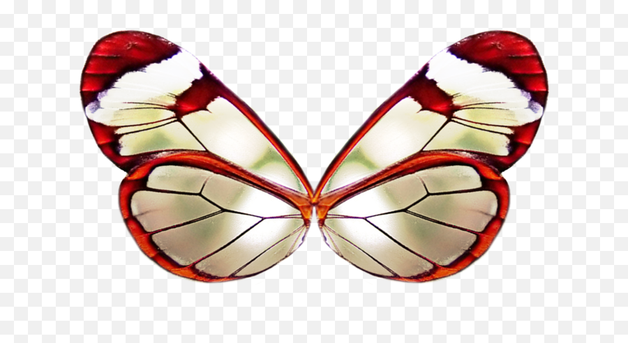 Png Wing 3 By Moonglowlilly - Red Butterfly Wings Png Deviantart Fairy Wing Png Emoji,Wing Png