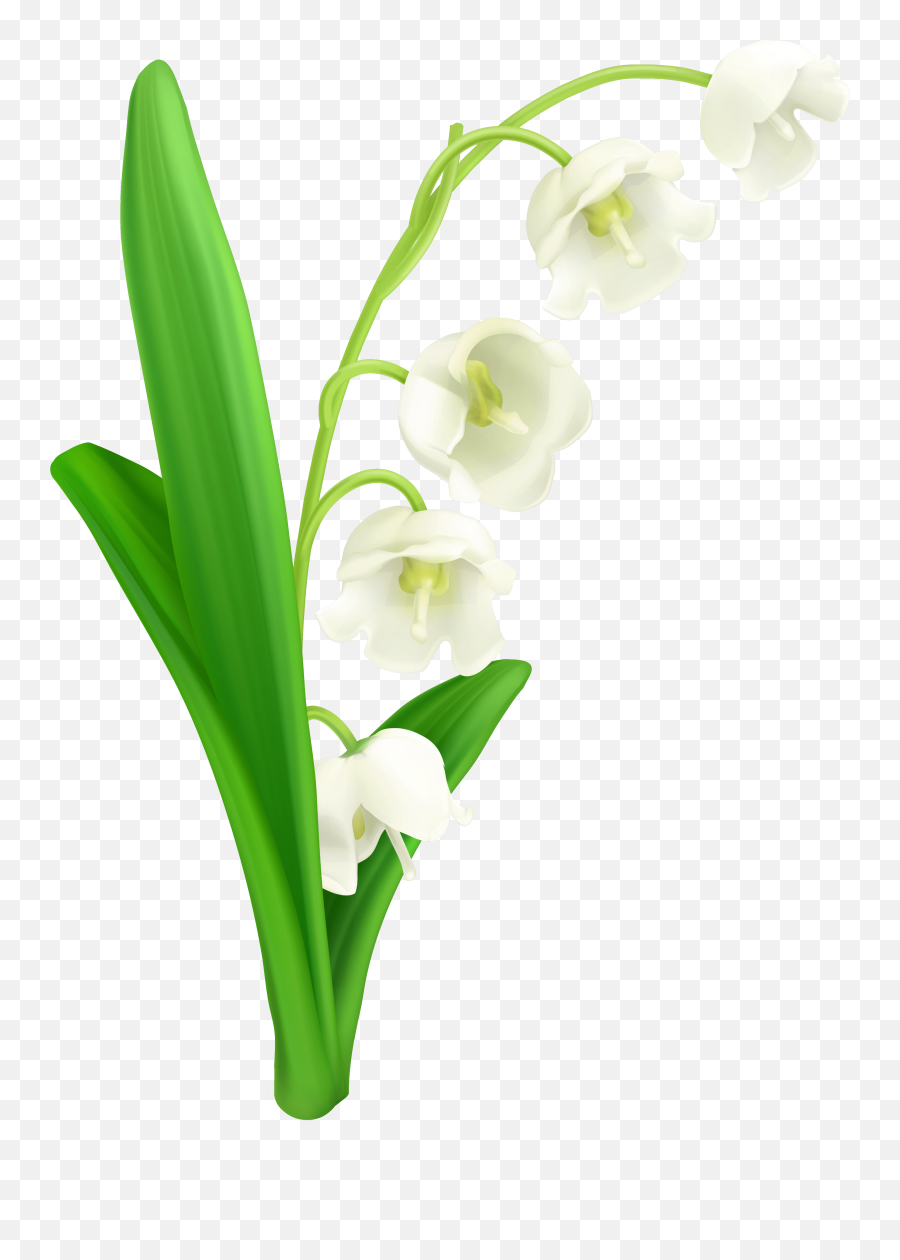 Lily Of The Valley Svg Transparent Png - Lily Of The Valley Png Emoji,Easter Lily Clipart