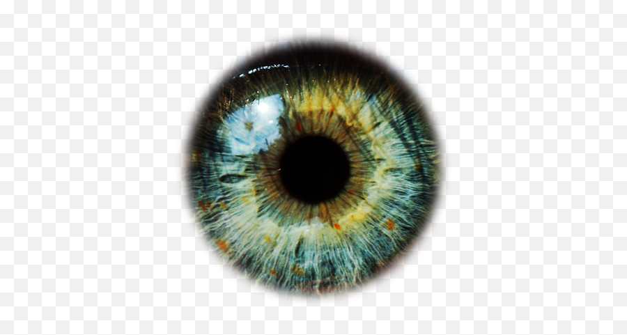 Eyes Png Transparent Background Free - Transparent Green Eyes Png Emoji,Eyes Png