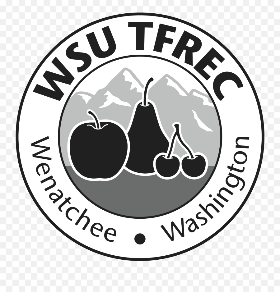 Tfrec Artwork Tfrec Admin Washington State University - Fresh Emoji,Asu Logo