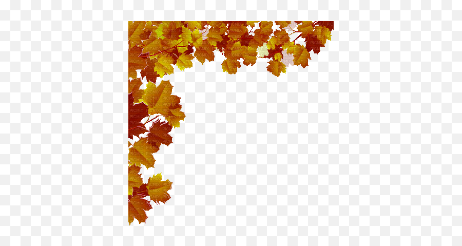 Leaves Animated Nature Caree - Transparent Falling Leaves Gif Emoji,Transparent Leaves