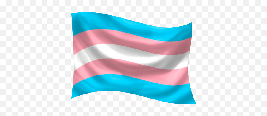 Gender Identity Pride Flags Glyphs - Trans Ally Flag Emoji,Trans Flag Png