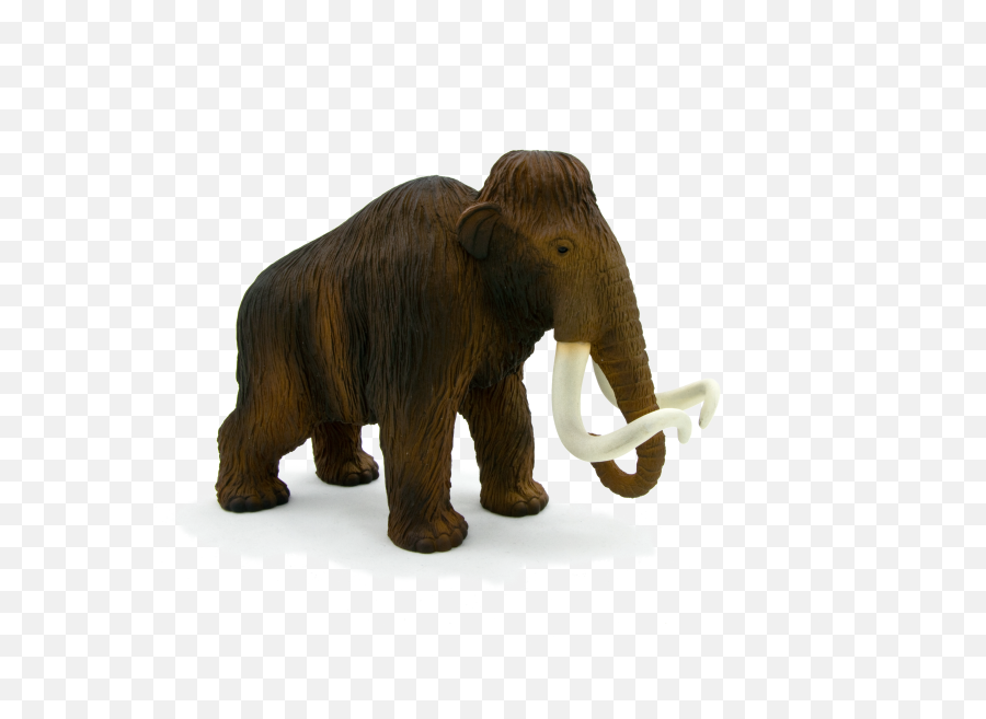 Animal Planet Wooly Mammoth Png Emoji,Mammoth Png