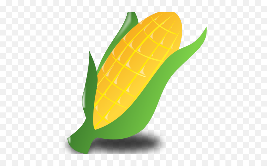 Korn Clipart Corn Boil Emoji,Corn On The Cob Png