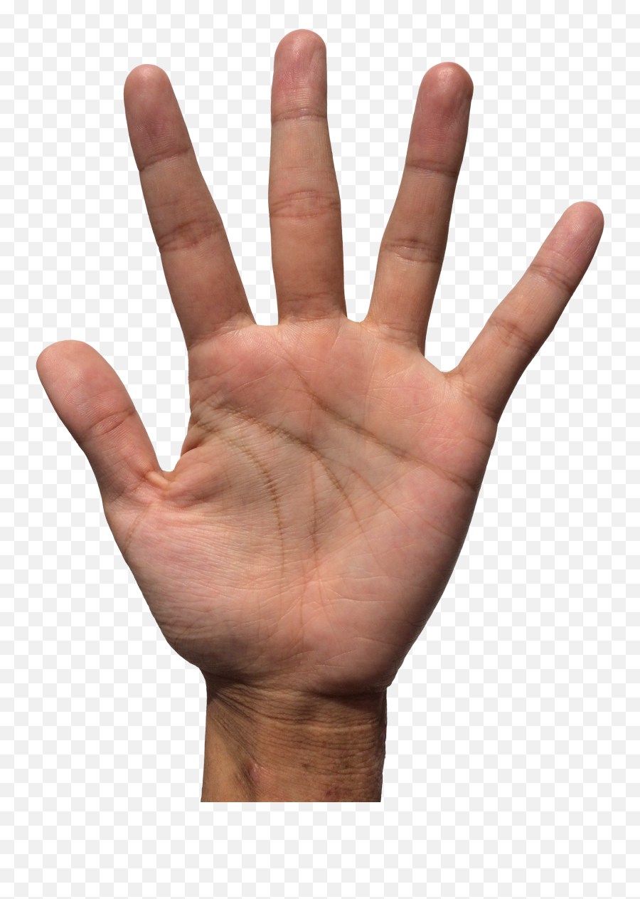 Hand Png Transparent Image - Middle Finger With Middle Finger Emoji,Hand Png