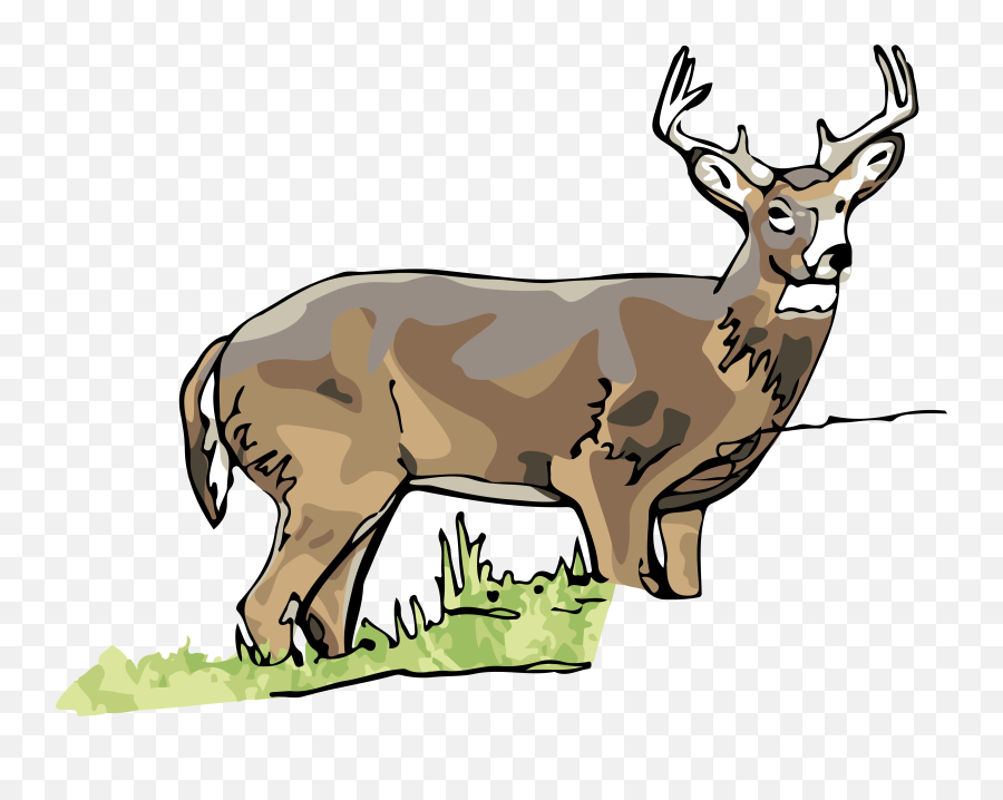 White Tailed Deer Clipart Illinois State - Deer Png Whitetail Deer Clipart Png Emoji,Deer Clipart