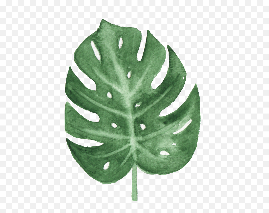 Watercolor Leaves Png Transparent - Watercolor Banana Leaf Png Emoji,Transparent Leaves